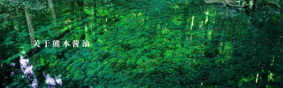 熊本酱油