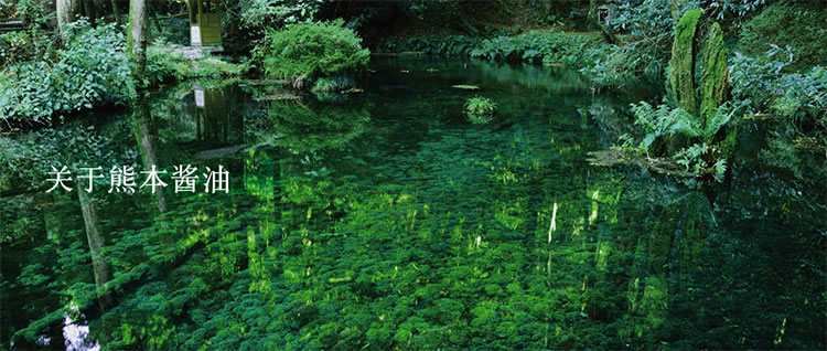 熊本酱油